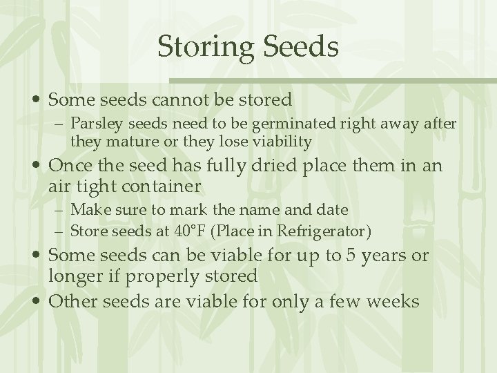 Storing Seeds • Some seeds cannot be stored – Parsley seeds need to be