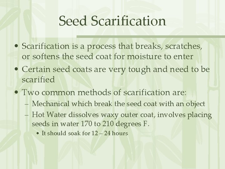 Seed Scarification • Scarification is a process that breaks, scratches, or softens the seed