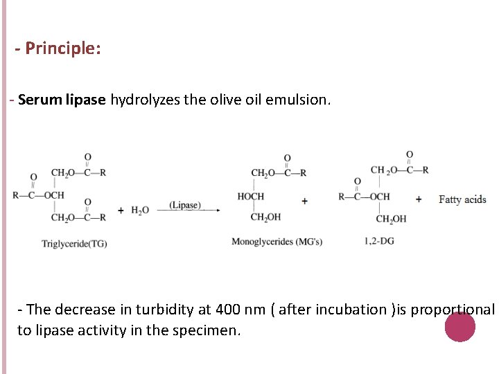 - Principle: - Serum lipase hydrolyzes the olive oil emulsion. - The decrease in