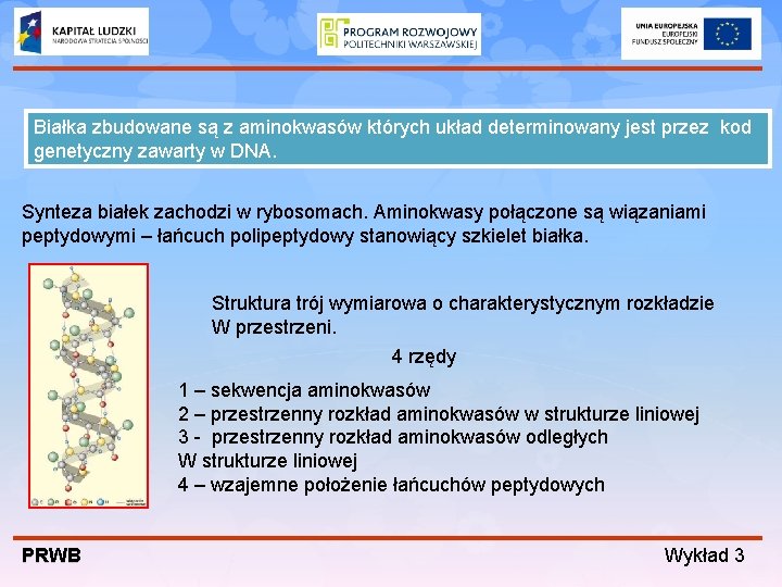 Białka zbudowane są z aminokwasów których układ determinowany jest przez kod genetyczny zawarty w