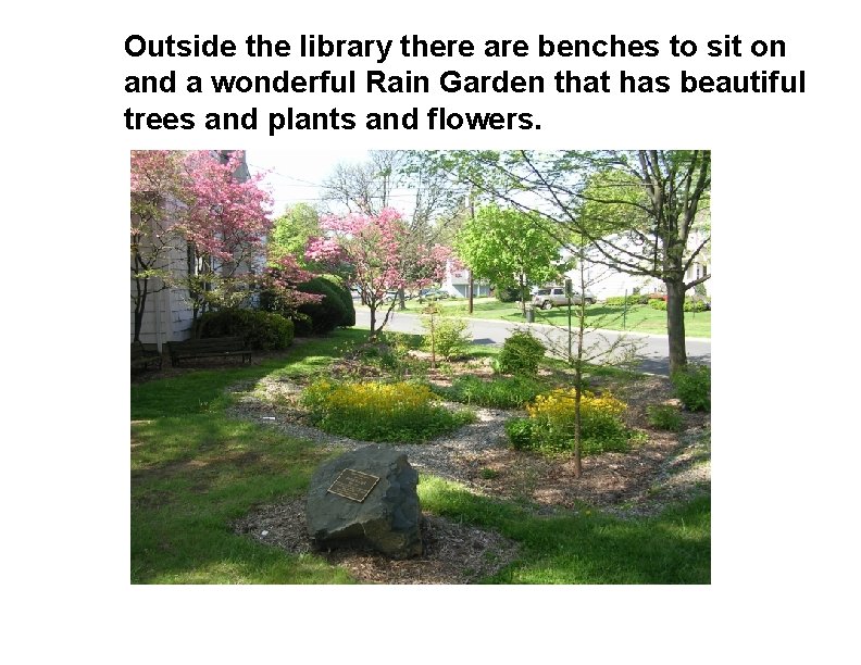 Outside the library there are benches to sit on and a wonderful Rain Garden