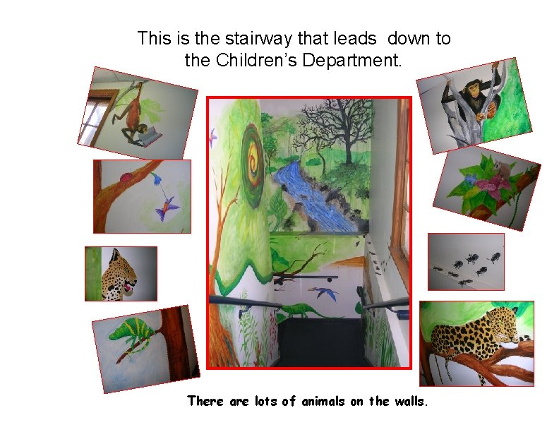 This is the stairway that leads down to the Children’s Department. There are lots