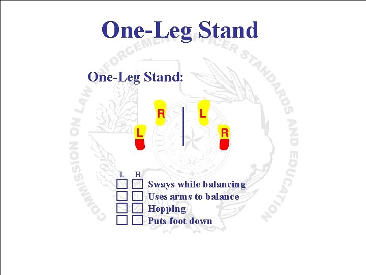 One-Leg Stand: L R Sways while balancing Uses arms to balance Hopping Puts foot