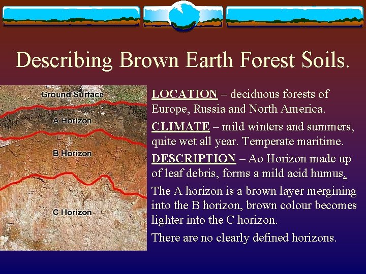 Describing Brown Earth Forest Soils. v v v LOCATION – deciduous forests of Europe,