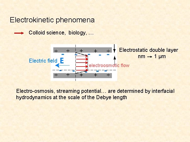 Electrokinetic phenomena Colloid science, biology, … Electric field Electrostatic double layer nm 1 µm