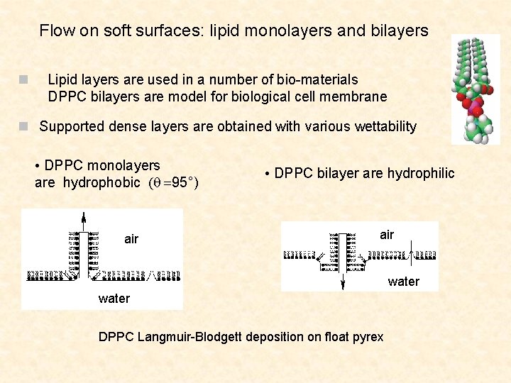 Flow on soft surfaces: lipid monolayers and bilayers n Lipid layers are used in