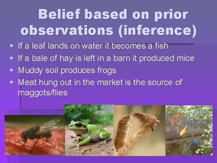 Belief based on prior observations (inference) § § If a leaf lands on water