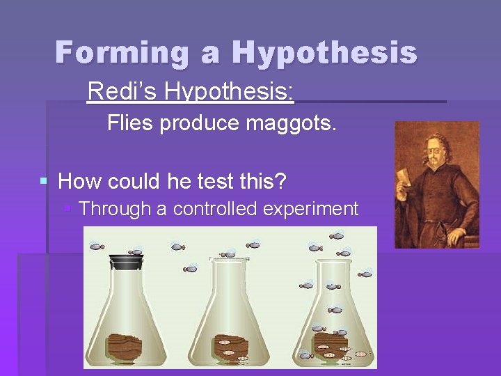 Forming a Hypothesis Redi’s Hypothesis: Flies produce maggots. § How could he test this?
