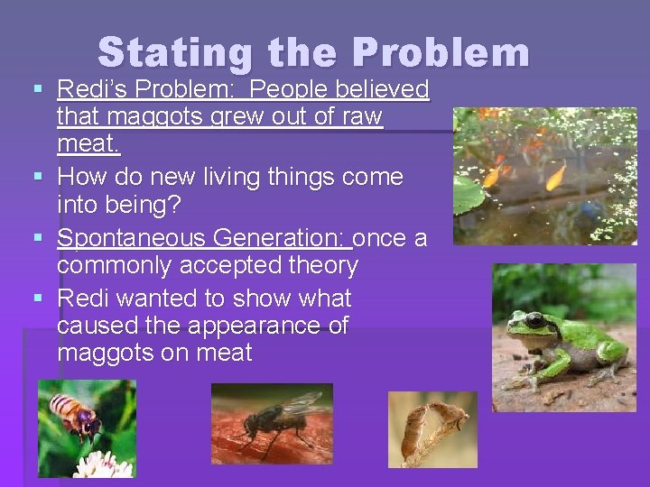 Stating the Problem § Redi’s Problem: People believed that maggots grew out of raw