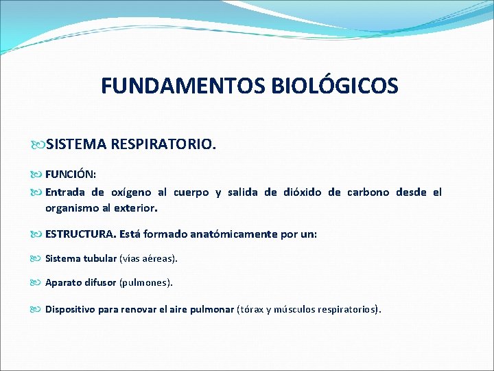  FUNDAMENTOS BIOLÓGICOS SISTEMA RESPIRATORIO. FUNCIÓN: Entrada de oxígeno al cuerpo y salida de