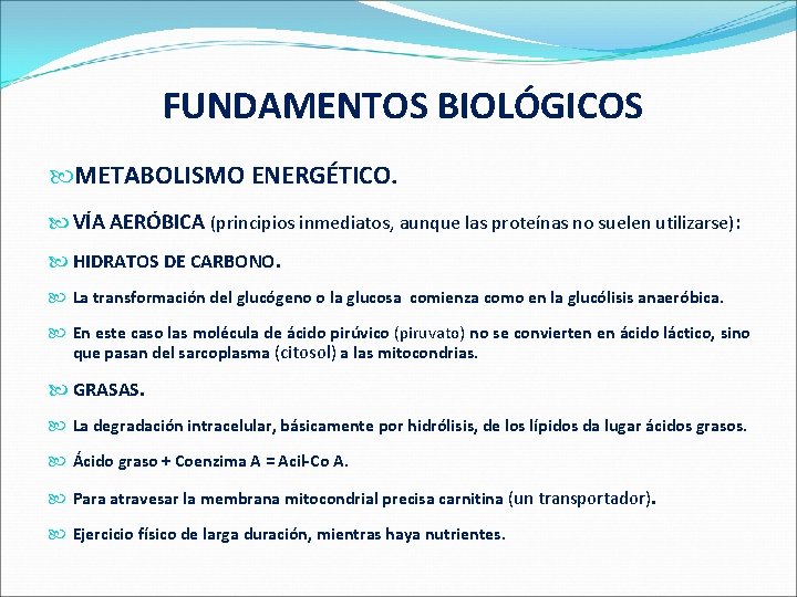  FUNDAMENTOS BIOLÓGICOS METABOLISMO ENERGÉTICO. VÍA AERÓBICA (principios inmediatos, aunque las proteínas no suelen