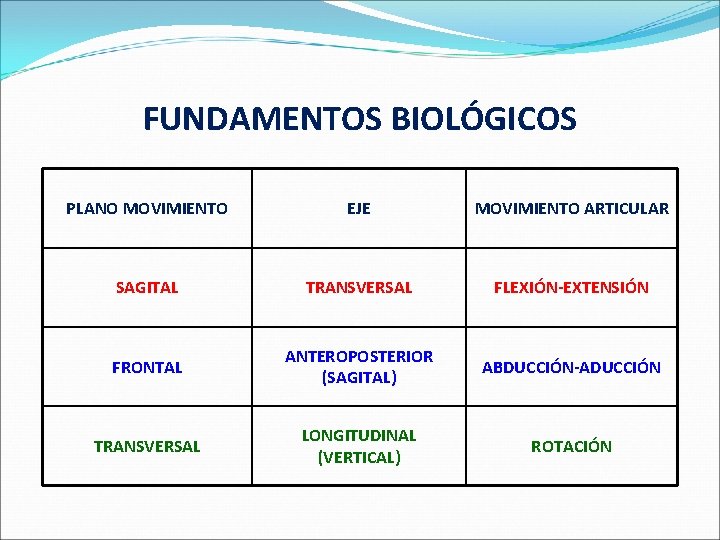 FUNDAMENTOS BIOLÓGICOS PLANO MOVIMIENTO EJE MOVIMIENTO ARTICULAR SAGITAL TRANSVERSAL FLEXIÓN-EXTENSIÓN FRONTAL ANTEROPOSTERIOR (SAGITAL) ABDUCCIÓN-ADUCCIÓN