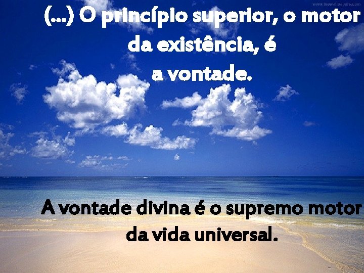 (. . . ) O princípio superior, o motor da existência, é a vontade.