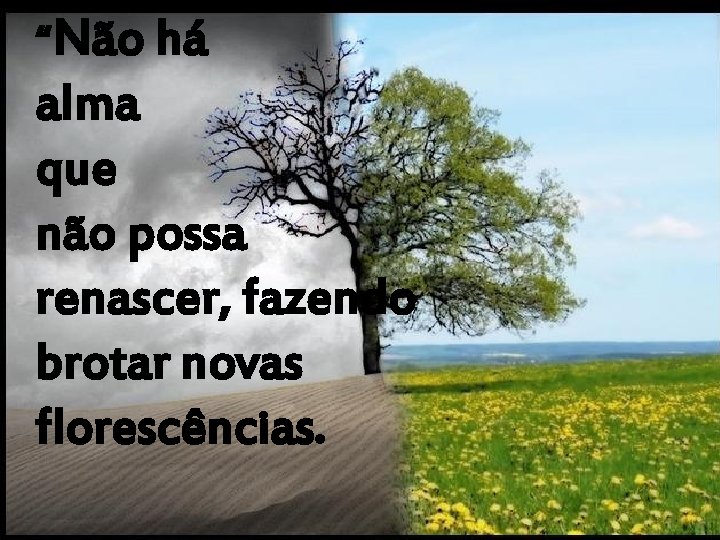 “Não há alma que não possa renascer, fazendo brotar novas florescências. 