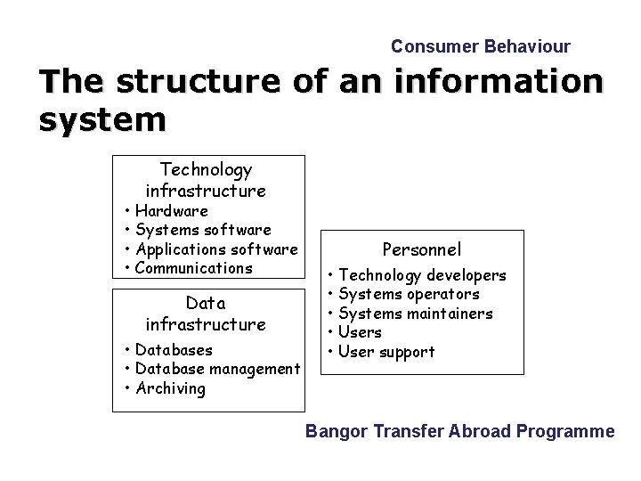 Consumer Behaviour The structure of an information system Technology infrastructure • Hardware • Systems Consumer Behaviour The structure of an information system Technology infrastructure • Hardware • Systems