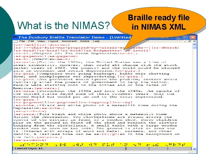 What is the NIMAS? Braille ready file in NIMAS XML 