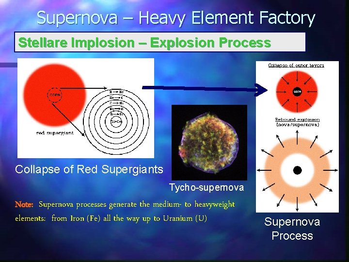 Supernova – Heavy Element Factory Stellare Implosion – Explosion Process Collapse of Red Supergiants