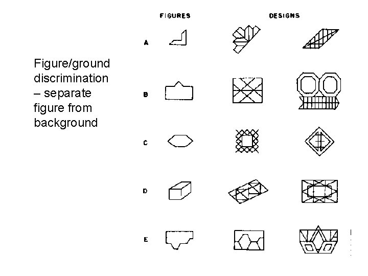 Figure/ground discrimination – separate figure from background 