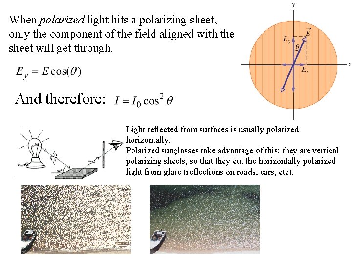 When polarized light hits a polarizing sheet, only the component of the field aligned