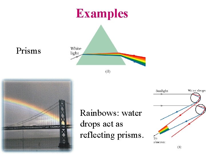 Examples Prisms Rainbows: water drops act as reflecting prisms. 