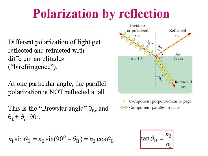 Polarization by reflection Different polarization of light get reflected and refracted with different amplitudes