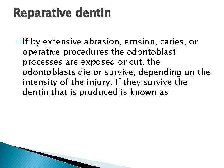 Reparative dentin � If by extensive abrasion, erosion, caries, or operative procedures the odontoblast