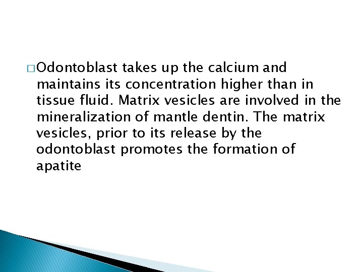 � Odontoblast takes up the calcium and maintains its concentration higher than in tissue