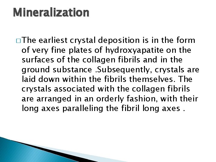 Mineralization � The earliest crystal deposition is in the form of very fine plates