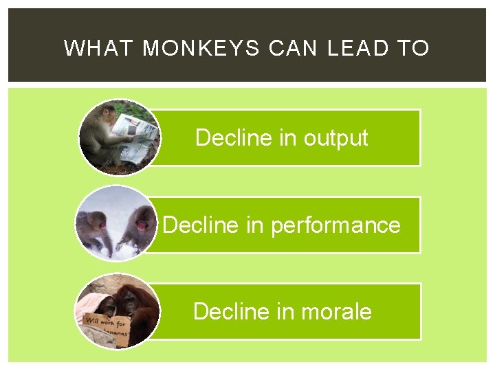 WHAT MONKEYS CAN LEAD TO Decline in output Decline in performance Decline in morale