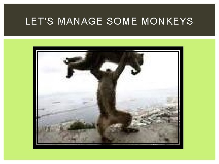 LET’S MANAGE SOME MONKEYS 