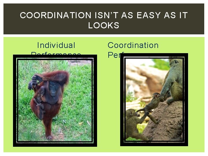 COORDINATION ISN’T AS EASY AS IT LOOKS Individual Performance Coordination Performance 