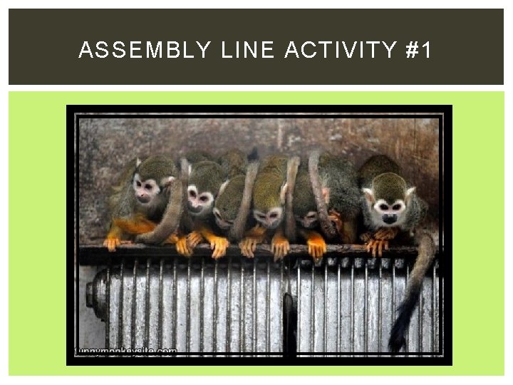 ASSEMBLY LINE ACTIVITY #1 