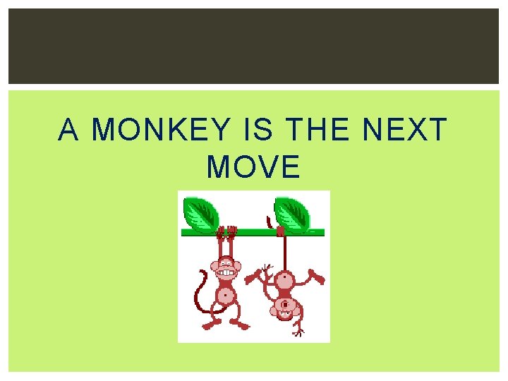 A MONKEY IS THE NEXT MOVE 