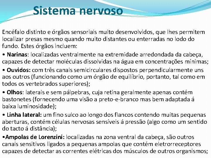 Sistema nervoso Encéfalo distinto e órgãos sensoriais muito desenvolvidos, que lhes permitem localizar presas