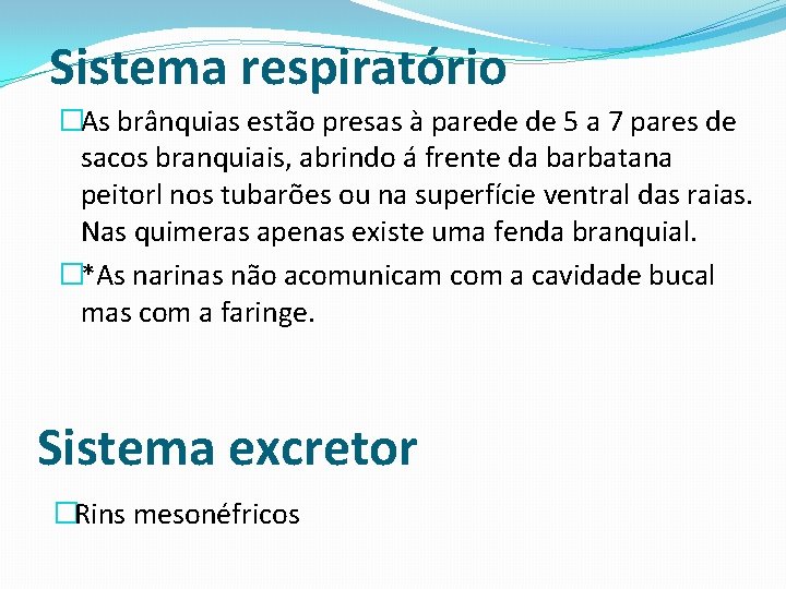 Sistema respiratório �As brânquias estão presas à parede de 5 a 7 pares de