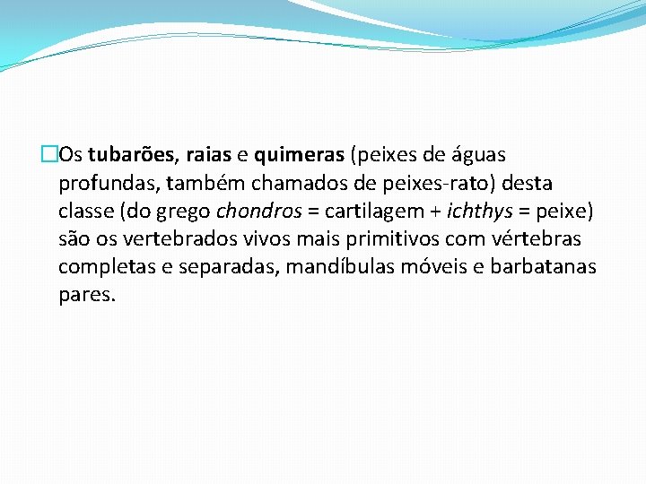 �Os tubarões, raias e quimeras (peixes de águas profundas, também chamados de peixes-rato) desta