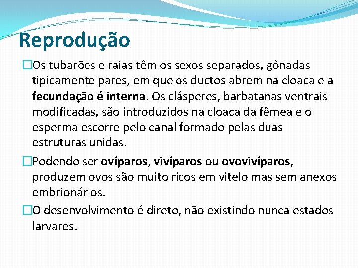 Reprodução �Os tubarões e raias têm os sexos separados, gônadas tipicamente pares, em que