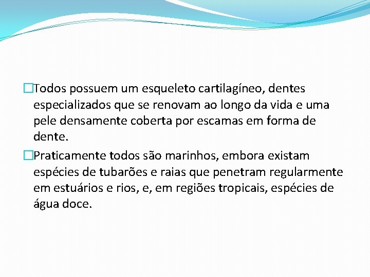 �Todos possuem um esqueleto cartilagíneo, dentes especializados que se renovam ao longo da vida