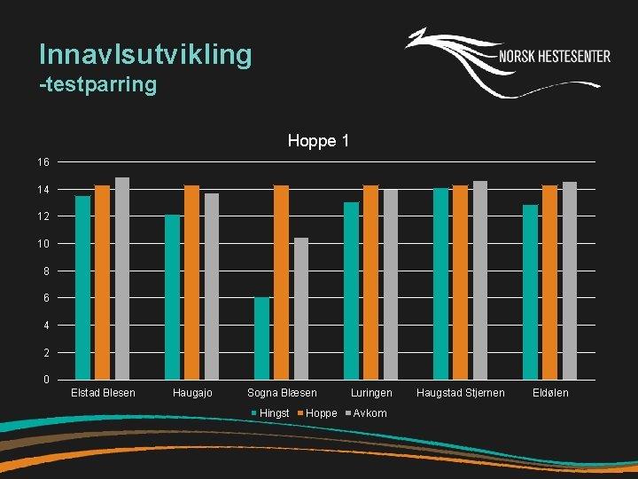 Innavlsutvikling -testparring Hoppe 1 16 14 12 10 8 6 4 2 0 Elstad