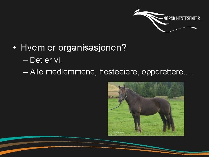  • Hvem er organisasjonen? – Det er vi. – Alle medlemmene, hesteeiere, oppdrettere….