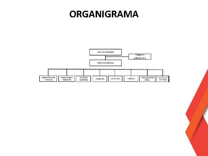 ORGANIGRAMA 
