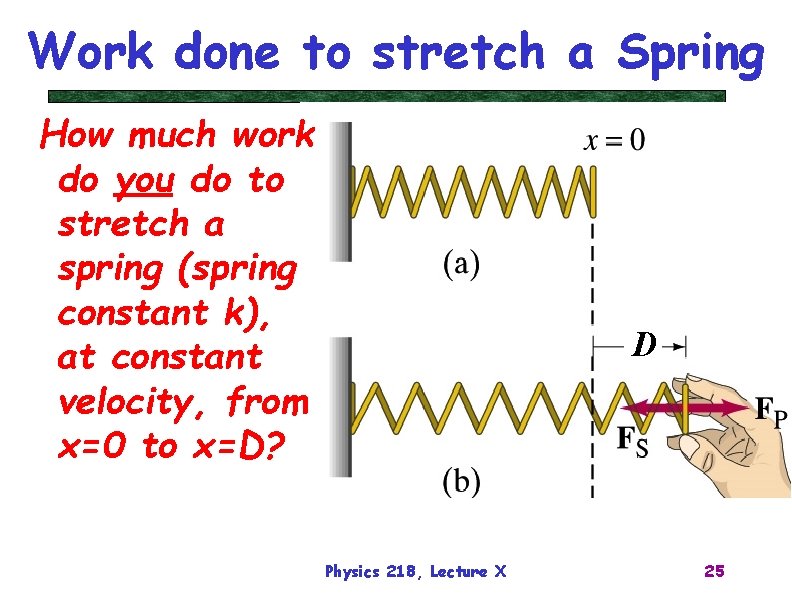 Work done to stretch a Spring How much work do you do to stretch