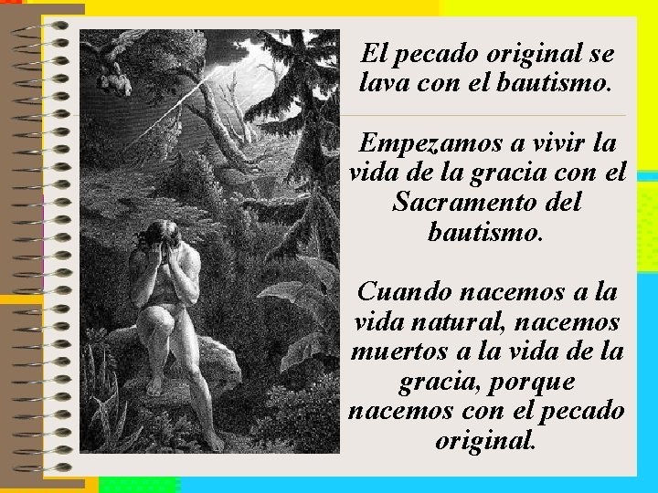 El pecado original se lava con el bautismo. Empezamos a vivir la vida de