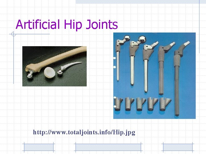 Artificial Hip Joints http: //www. totaljoints. info/Hip. jpg 