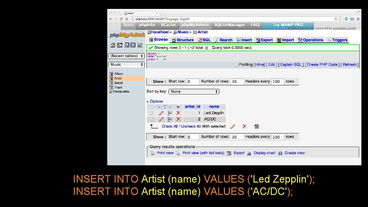INSERT INTO Artist (name) VALUES ('Led Zepplin'); INSERT INTO Artist (name) VALUES ('AC/DC'); 