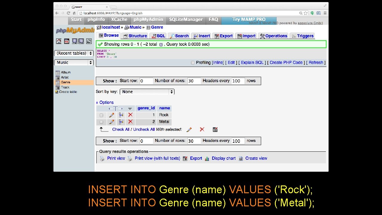 INSERT INTO Genre (name) VALUES ('Rock'); INSERT INTO Genre (name) VALUES ('Metal'); 