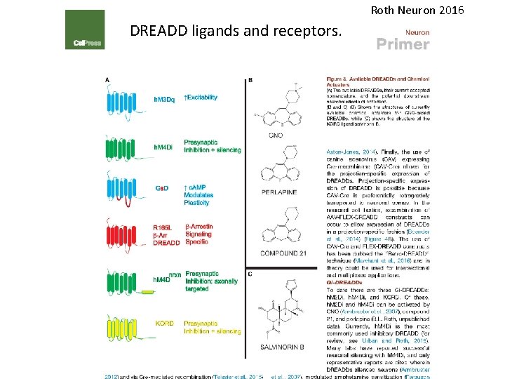 Roth Neuron 2016 DREADD ligands and receptors. 
