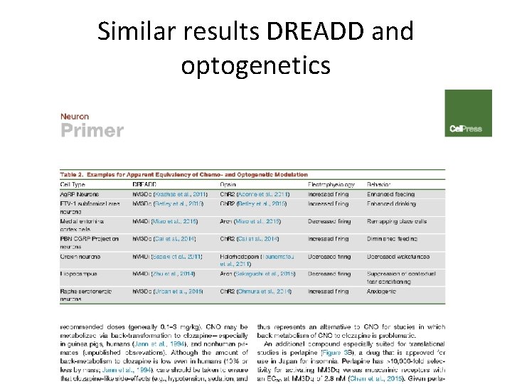 Similar results DREADD and optogenetics 