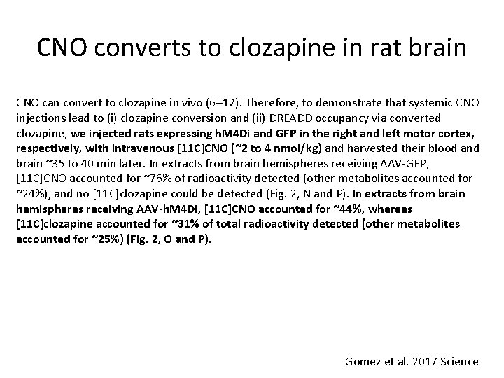 CNO converts to clozapine in rat brain CNO can convert to clozapine in vivo