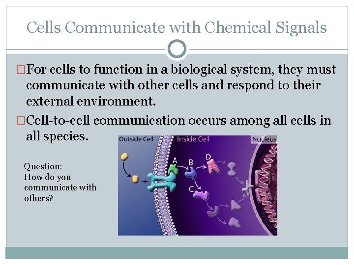 Cells Communicate with Chemical Signals �For cells to function in a biological system, they